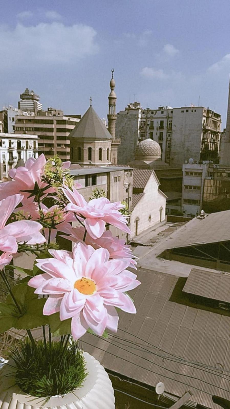 Cairo Lodge Hostel Hostel