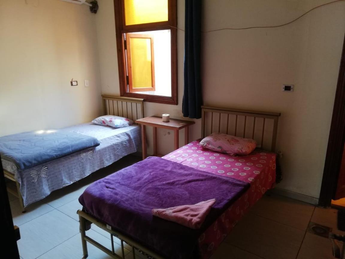 Cairo Lodge Hostel