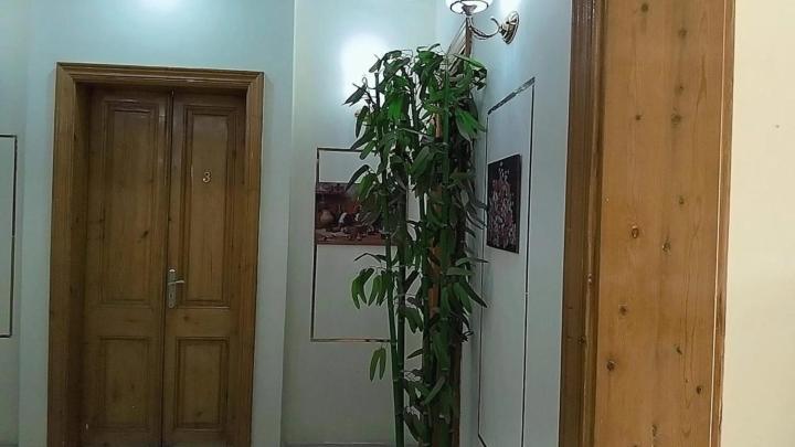 Hostel Cairo Lodge Hostel Cairo